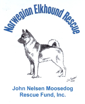 norwegian elkhound rsscue